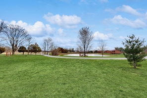 Apartment (0 Bedroom) | Interior - Pet Friendly! Couples Retreat in Southern Illinois (Murphysboro)