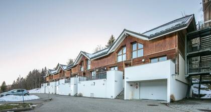 Beautiful apart for 6 pers close to the ski slopes