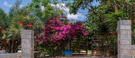 Enceinte de lâhĂ©bergement