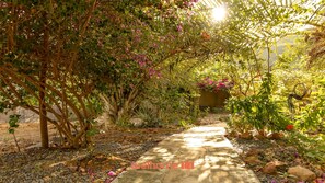 A garden pathway with various plants and flowers. - Suíte em Pousada em Rio Grande com Piscina e Vista (Palmeiras)