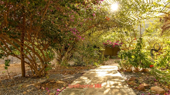 A garden pathway with various plants and flowers.