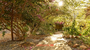 A garden pathway with various plants and flowers, surrounded by trees and a stone wall.
