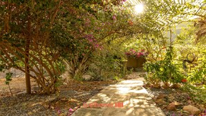 A garden pathway with a variety of plants and flowers, leading to a shaded area. - Suite Quadrupla em Rio Grande com Vista Montanha (Palmeiras)