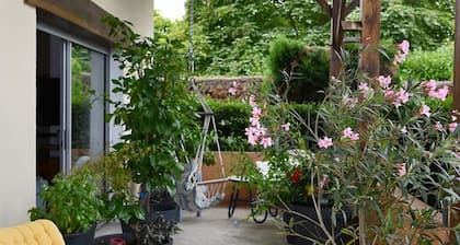 Guest Room “Chambre du bas” with Shared Pool, Terrace, and Wi-Fi