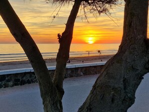 Playa en los alrededores 
