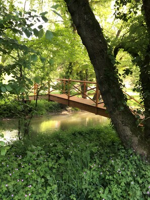 Property grounds - Gîte du moulin lasnier – Peaceful Retreat in Nature with Pool and Fishing (Meusnes)