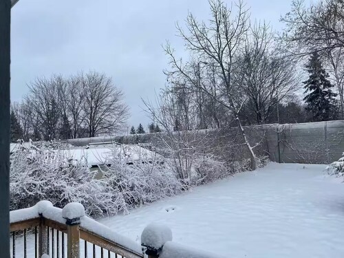 Entire guesthouse in N F, Canada (Lower level)