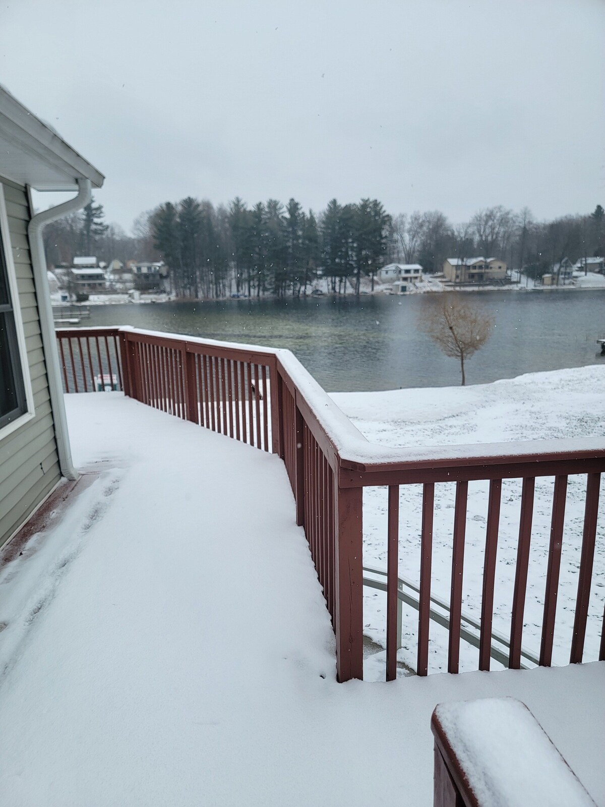 Imagen de perfil del propietario o de la propietaria