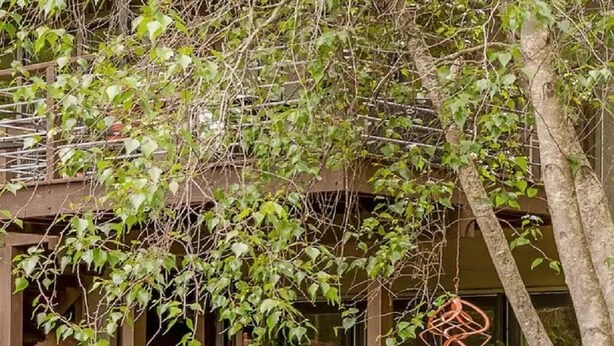 Un bâtiment moderne doté d’un espace extérieur aménagé et abrité, de murs en pierre et de verdure.