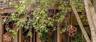 Tranquil 1-BR apartment within minutes of downtown Asheville/Blue Ridge Parkway