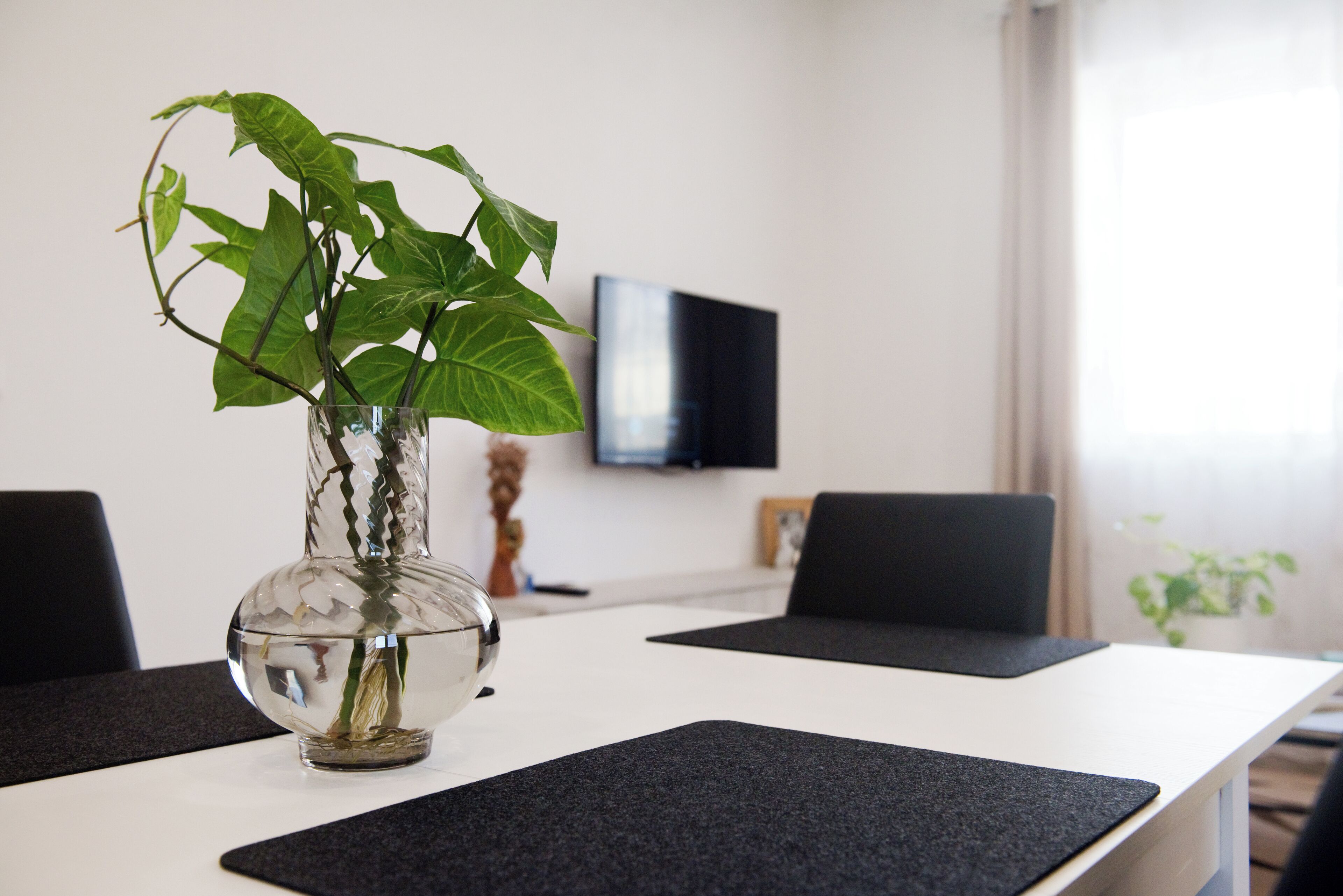 Een vergadertafel met een glazen vaas met een plant, een flatscreen televisie aan de muur en een raam met gordijnen.