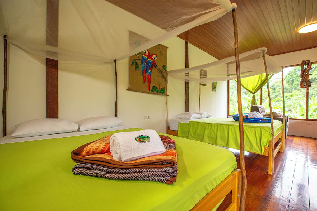 A room with two beds, each with a green bedspread and white pillows. There is a painting of a parrot on the wall, and a canopy over the beds.