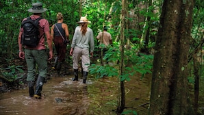 A group of people walking through a forested area with a muddy stream. - CHUNCHO LODGE (Tambopata)