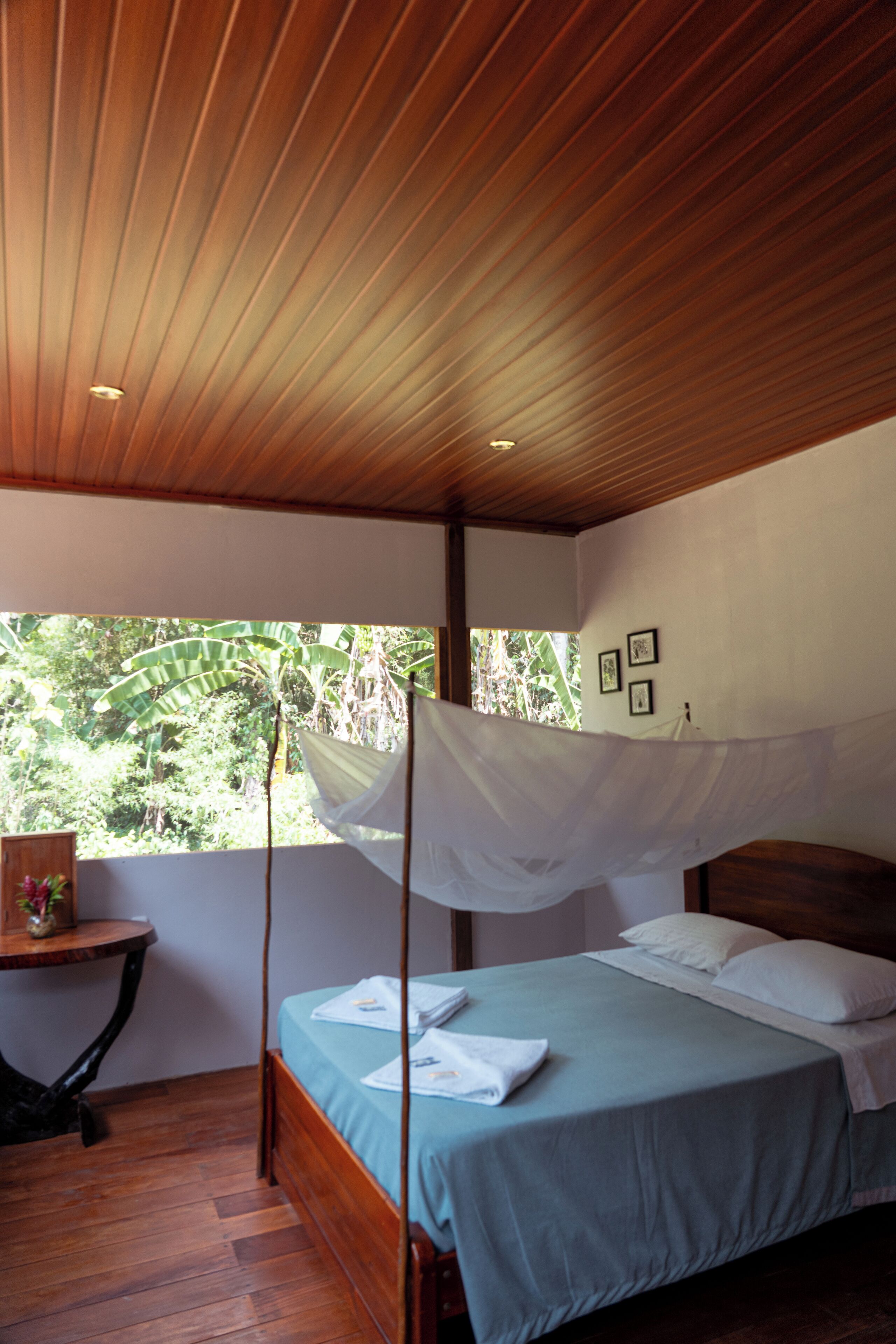 Standard Bungalow, Pool View | Laptop workspace, free WiFi