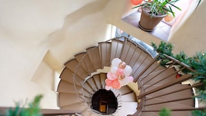 Un escalier en colimaçon avec une rampe en métal, entouré de plantes en pot et agrémenté d’une composition décorative de ballons.