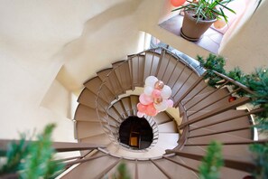 Un escalier en colimaçon avec une rampe en métal, entouré de plantes en pot et agrémenté d’une composition décorative de ballons.