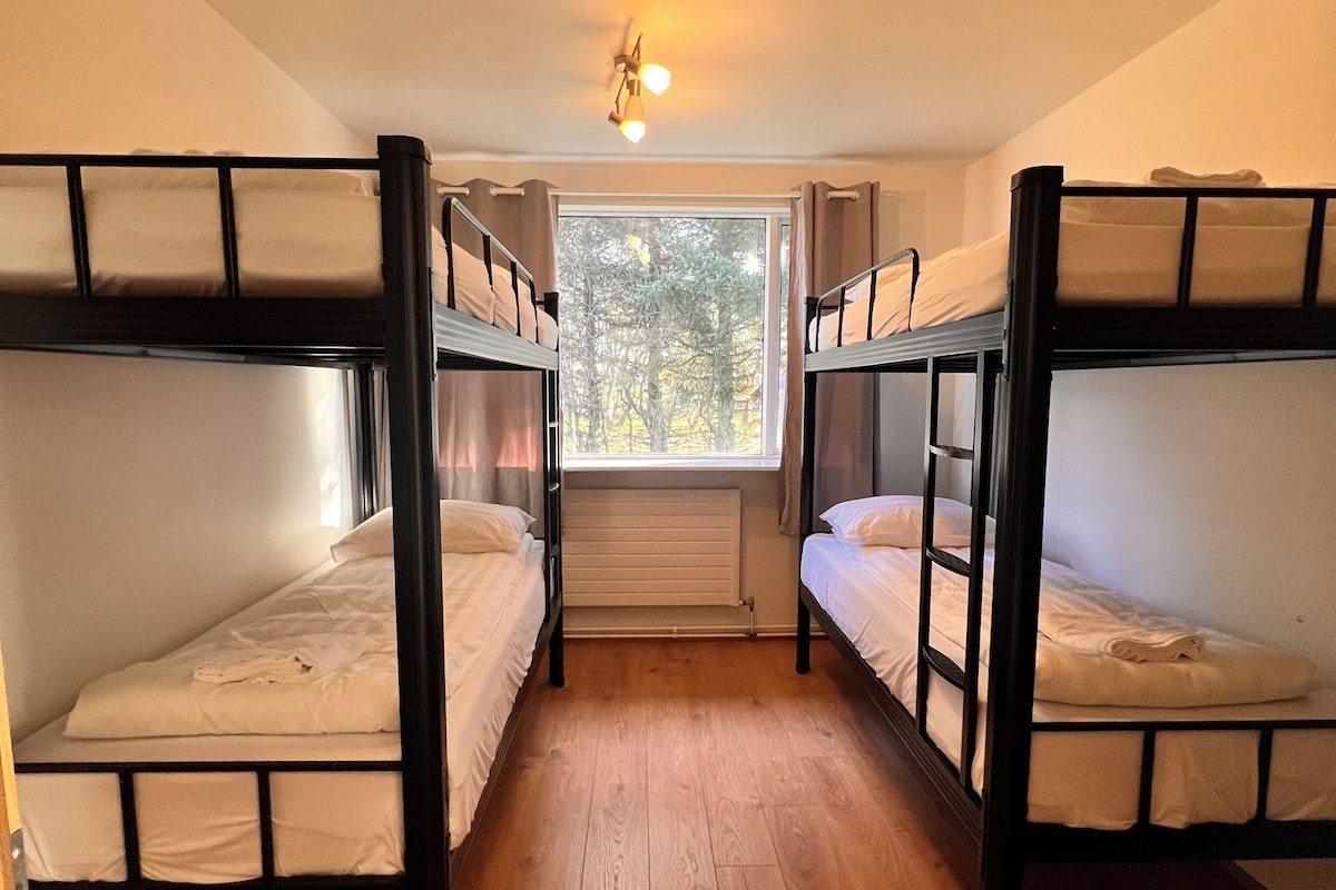 A dormitory room with bunk beds, a window with a view of trees, and a ceiling light fixture.