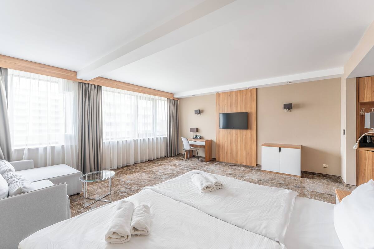 Executive Double Room | Meja, ruang kerja komputer riba, katil bayi/kot (surcaj), Wi-fi percuma 