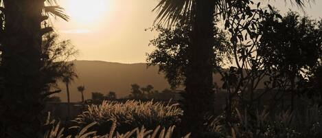 Un atardecer con siluetas de palmeras y colinas al fondo.