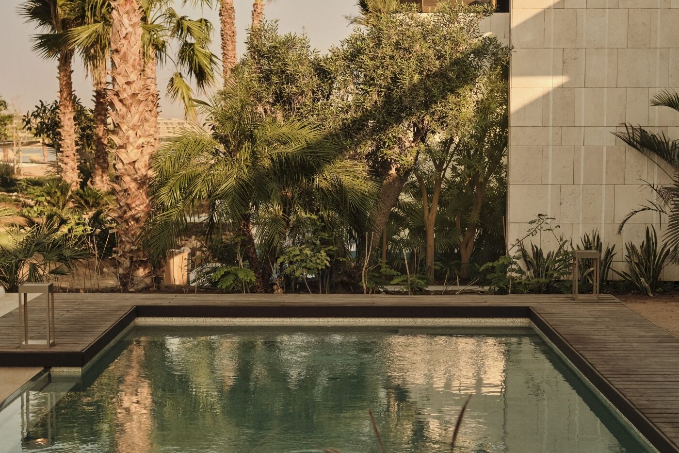 A rectangular pool with a wooden deck, surrounded by various tropical plants and palm trees.