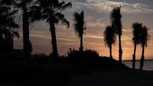 A beach scene with palm trees and a sunset. - Rosewood AMAALA (Al Wajh)