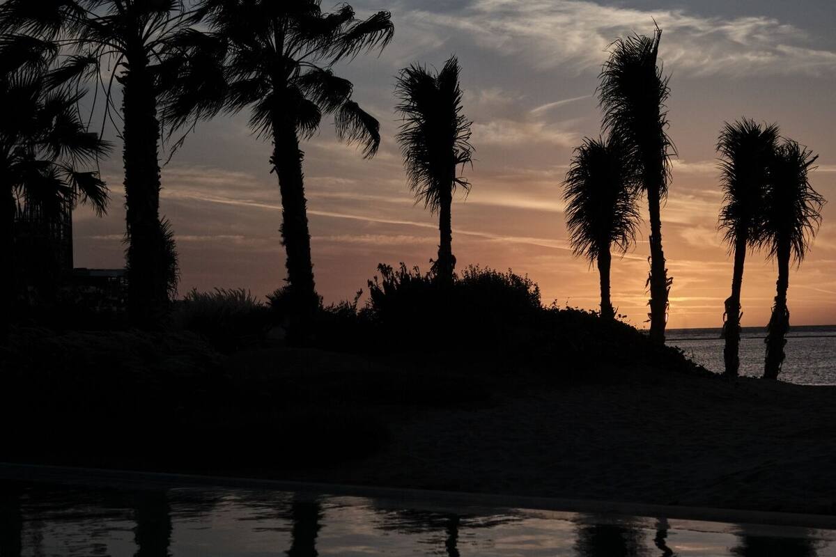 A beach scene with palm trees and a sunset.