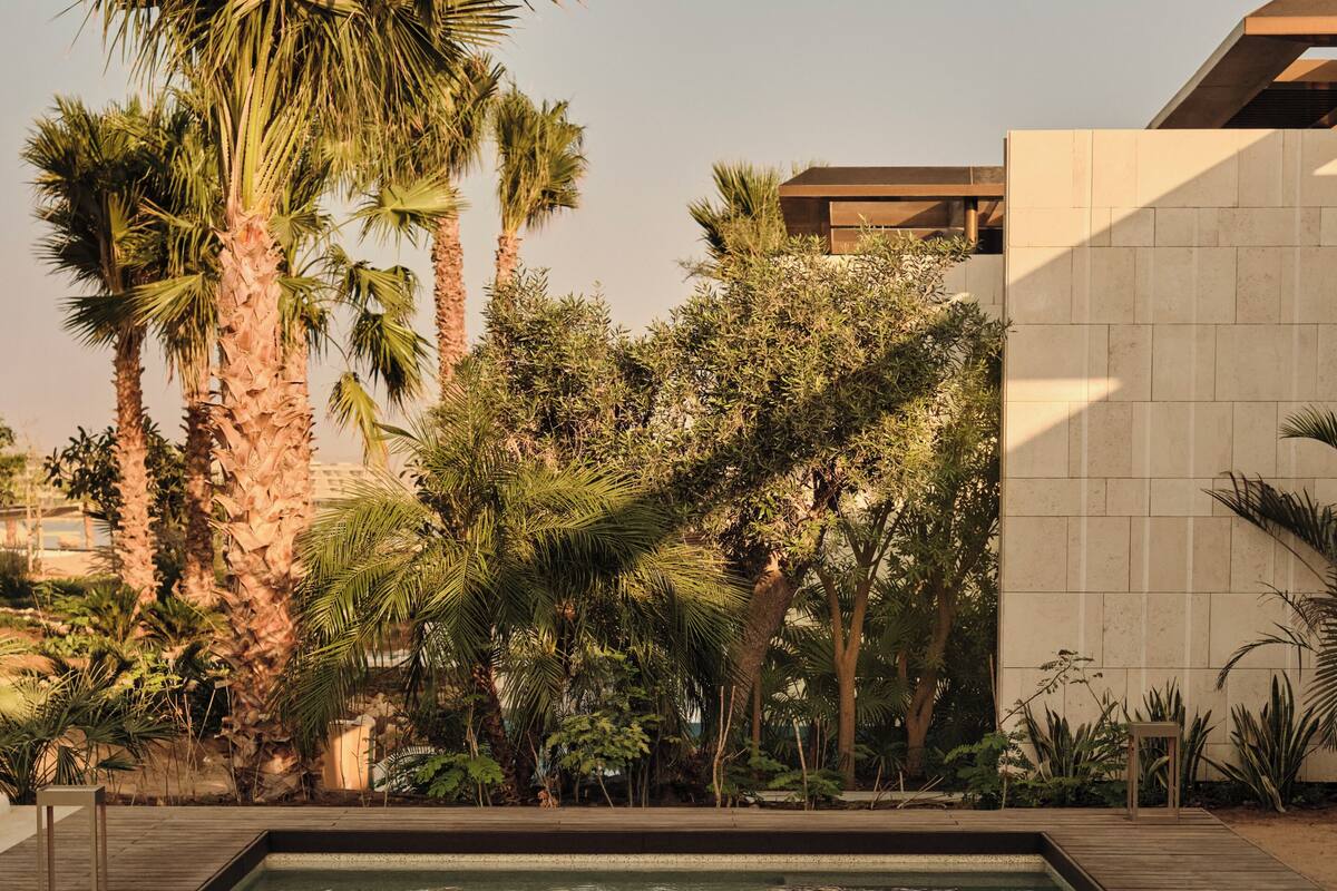 A rectangular pool with a wooden deck surrounding it, palm trees, and a modern building in the background.