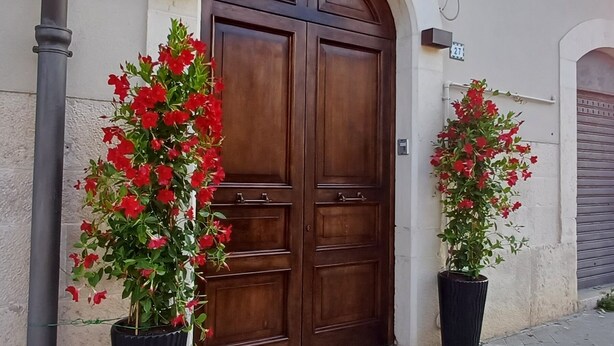 A large wooden door with a small sign above it. There are two potted plants with red flowers in front of the door. - Luxury Sea Palazzo with sea view terrace (Trani)