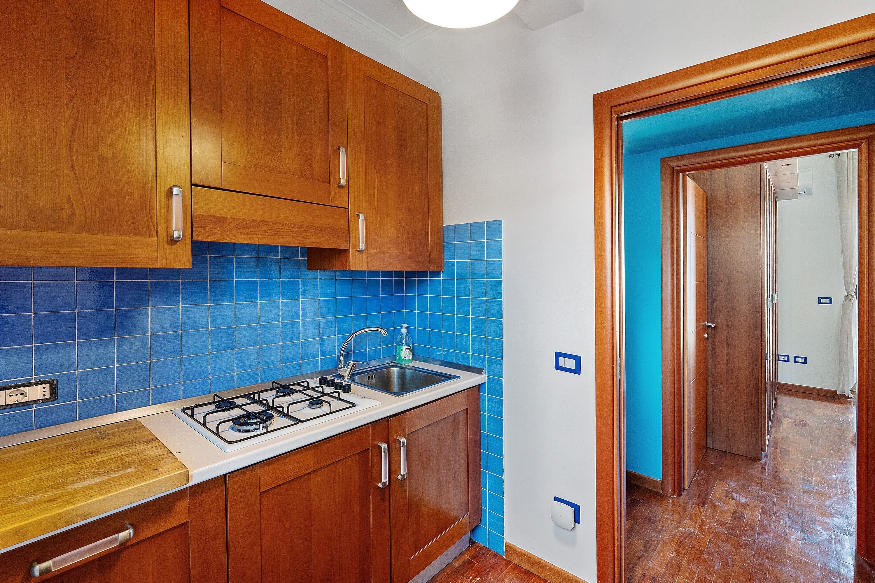 Kühlschrank, Mikrowelle, Herdplatte, Geschirrspüler