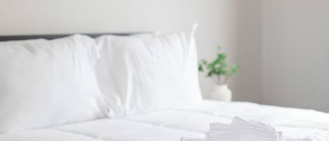 2 habitaciones, tabla de planchar con plancha, wifi y ropa de cama