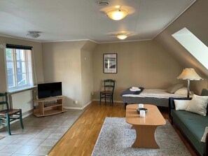 Flat-screen TV - Spacious and central apartment (Visby)