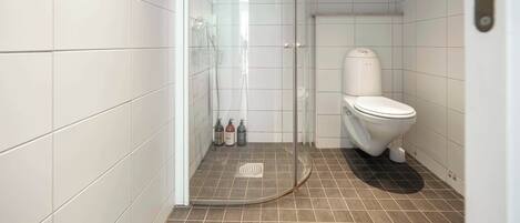 Douche, articles de toilette (gratuits), séchoir à cheveux