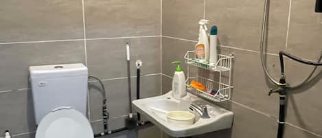 Douche, séchoir à cheveux, bidet, serviettes fournies