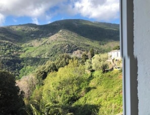 View from property - Chez Aurele (Santa-Maria-di-Lota)