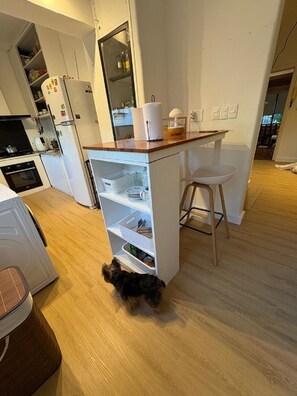 Interior - Apartment in Carrasco Sur, Montevideo Renovated | Dorm | A/C + Fiber (Montevideo)