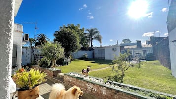 Un patio trasero con un perro, césped y un muro de ladrillo.