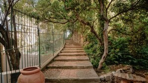 Eine steinerne Treppe, umgeben von Grünpflanzen, die zu einer höheren Ebene führt.