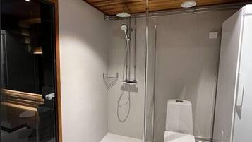 Shower, hair dryer