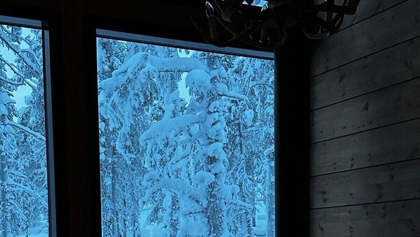 A cozy room with a large window overlooking a snowy forest, a fireplace, and a comfortable seating area.