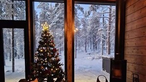 A cozy cabin interior with a large window overlooking a snowy forest, a decorated Christmas tree, and a wood-burning stove.