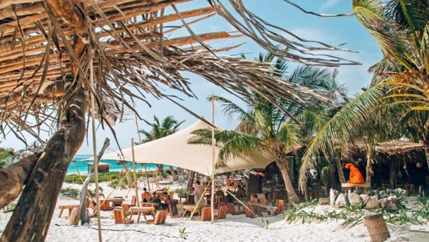 A beachside setting with lounge chairs, umbrellas, and palm trees. - Ts'íibol: 3BR w Private Rooftop Deck & Pool (Tulum)