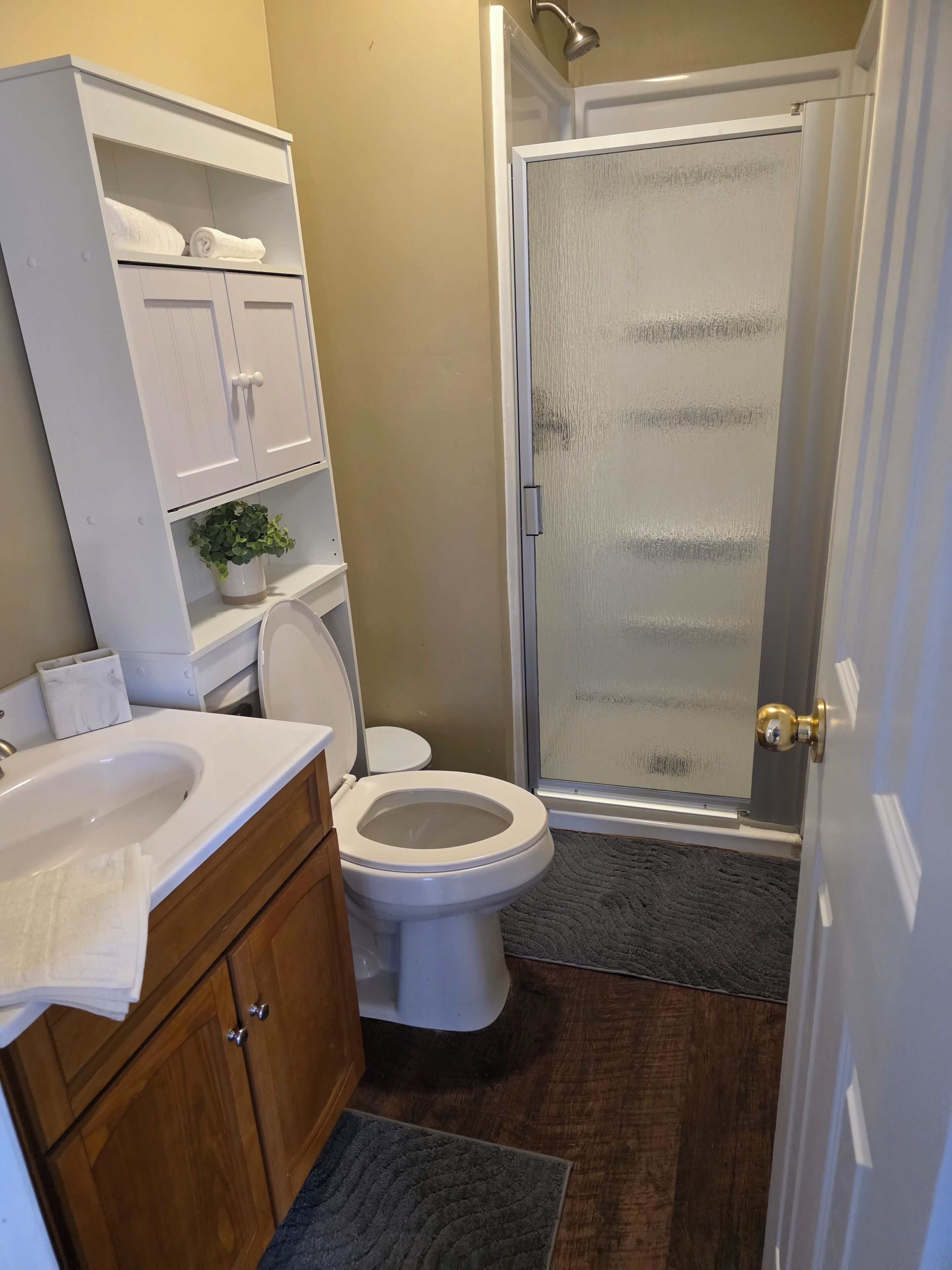 Shower, towels, toilet paper