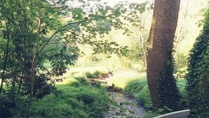 Two wooden chairs facing a garden with a pond and trees. - CLOS DU PIN - 6 pers ( Gite N°2 du domaine du Pin) (LANGUIDIC)