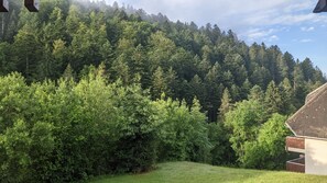 Property grounds - Apartment "Sonnen Strahl" with Balcony and Wi-Fi (Todtmoos)