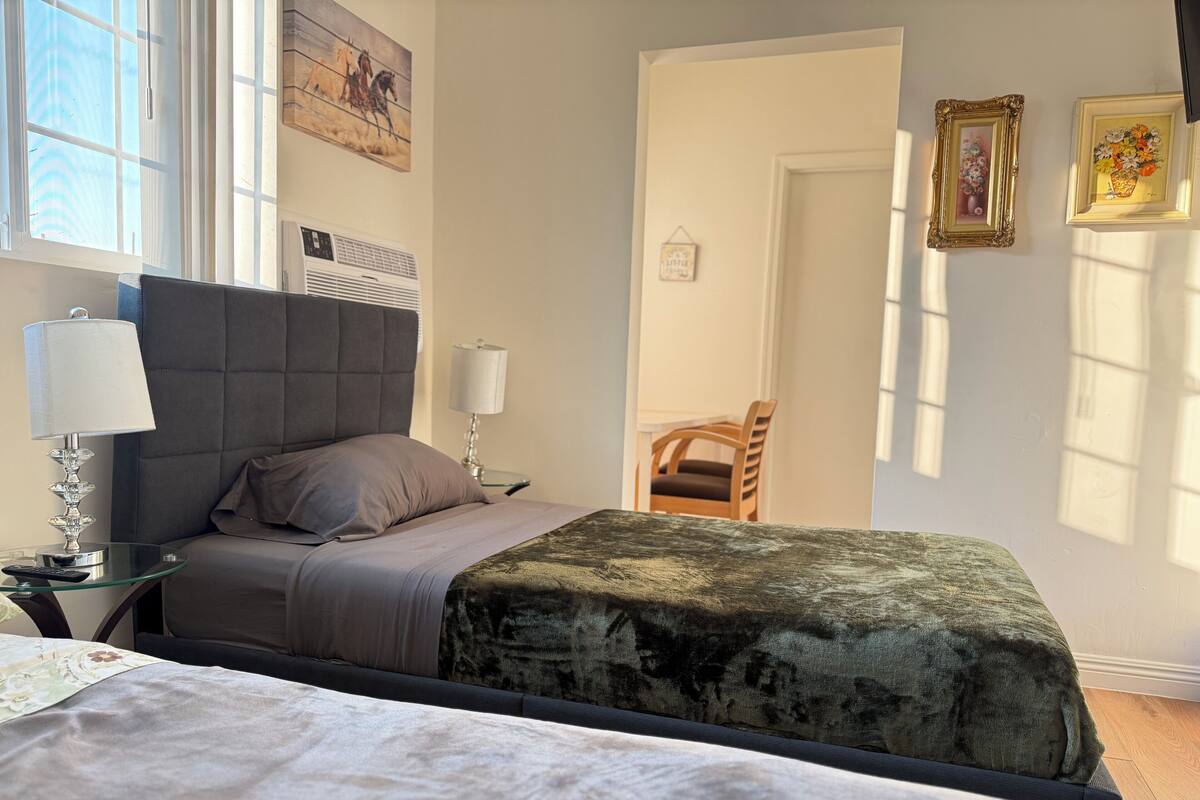 Classic Double Room, Private Bathroom | Desk, laptop workspace, blackout drapes, soundproofing