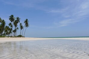 Property grounds - Carneiros Beach Resort (Tamandaré)