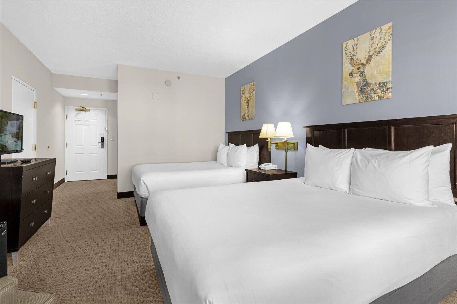 Iron/ironing board, free WiFi, bed sheets, wheelchair access