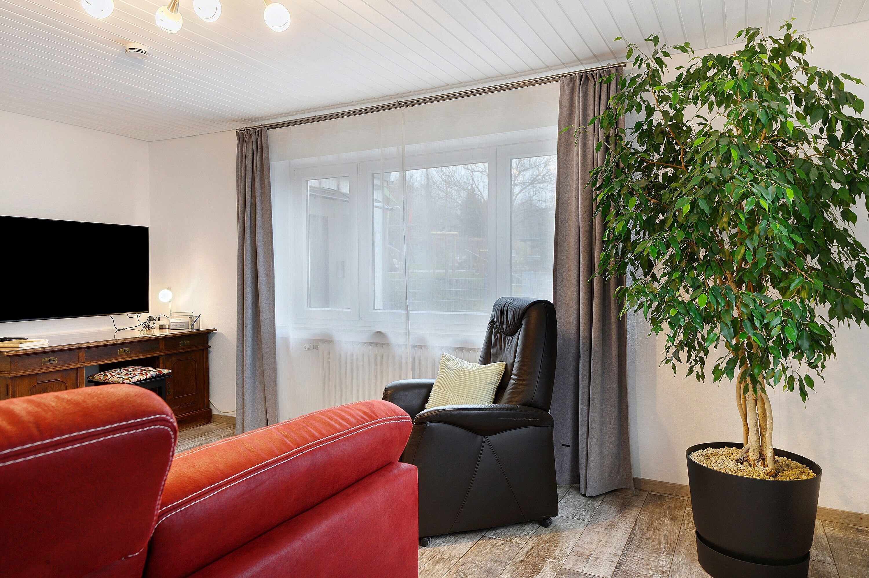 Fernseher, Tischtennisplatte