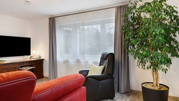 Fernseher, Tischtennisplatte