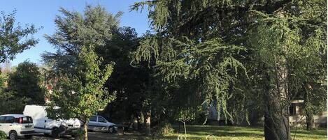 Área da propriedade